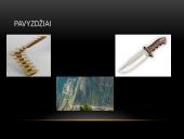 Nuožulnioji Plokštuma 4 puslapis