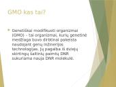 GMO – už ar prieš 2 puslapis