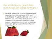 GMO – už ar prieš 3 puslapis