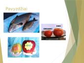 GMO – už ar prieš 4 puslapis