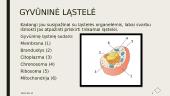 Augalinė ir gyvūninė ląstelės 7 puslapis