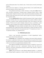 Pieno sauga ir kokybė 7 puslapis