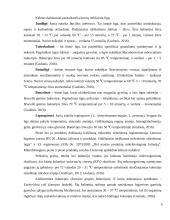 Pieno sauga ir kokybė 9 puslapis