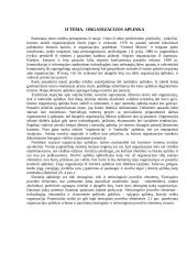Organizacijos aplinka (4)