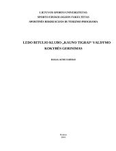 Ledo ritulio klubo "Kauno tigrai" valdymo kokybės gerinimas