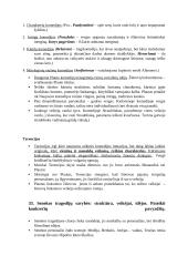 Antikinės literatūros kūrinių konspektas 18 puslapis