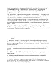 Baudžiamasis įstatymas ir jo galiojimas 12 puslapis