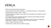 Pristatymas apie Joną Basanavičių 4 puslapis