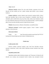Matematikos planas - laikrodis 2 puslapis