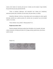 Matematikos planas - laikrodis 3 puslapis