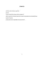 Atsinaujinančios ekonomikos skatinimas ekonominiais instrumentais  2 puslapis