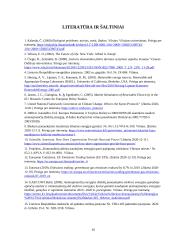 Atsinaujinančios ekonomikos skatinimas ekonominiais instrumentais  11 puslapis