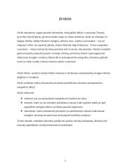 Atsinaujinančios ekonomikos skatinimas ekonominiais instrumentais  4 puslapis