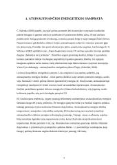 Atsinaujinančios ekonomikos skatinimas ekonominiais instrumentais  5 puslapis