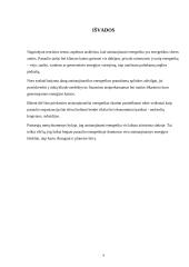 Atsinaujinančios ekonomikos skatinimas ekonominiais instrumentais  10 puslapis