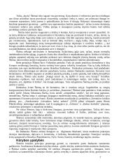 Antanas Škėma (1911-1961) „Balta drobulė“ 2 puslapis