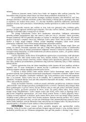 Antanas Škėma (1911-1961) „Balta drobulė“ 11 puslapis