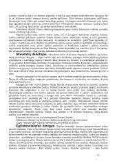 Antanas Škėma (1911-1961) „Balta drobulė“ 13 puslapis