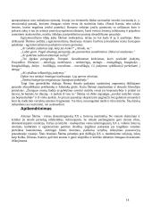 Antanas Škėma (1911-1961) „Balta drobulė“ 14 puslapis