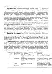 Antanas Škėma (1911-1961) „Balta drobulė“ 4 puslapis