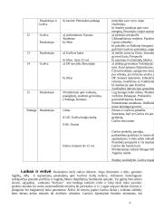 Antanas Škėma (1911-1961) „Balta drobulė“ 6 puslapis