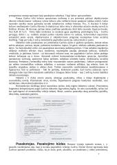 Antanas Škėma (1911-1961) „Balta drobulė“ 7 puslapis