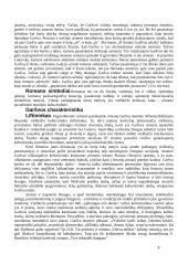 Antanas Škėma (1911-1961) „Balta drobulė“ 8 puslapis