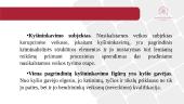 Kyšininkavimo tyrimo metodikos prezentacija 2 puslapis