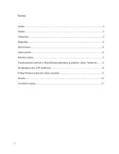 Meg Whitman vadovavimo patirties analizė 2 puslapis