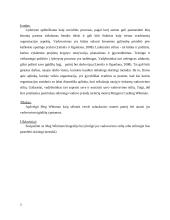 Meg Whitman vadovavimo patirties analizė 3 puslapis