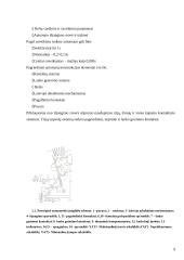 Komutavimo įrenginiai 9 puslapis