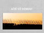 Aleksandras Didysis 7 puslapis