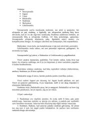 Trumpa „Autorius ieško išeities" analizė