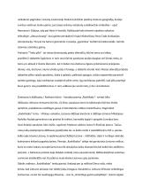 Pasididžiavimas savo šalies praeitimi lietuvių literatūroje (Maironis, Radvanas, Mickevičius) 2 puslapis