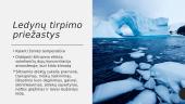 Ledynų tirpimas pasaulyje 6 puslapis