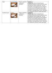 Karbonatų lentelė 2 puslapis