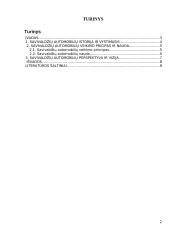 Savivaldžiai automobiliai 2 puslapis