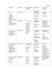 Pažintinė praktika Telšių lopšelyje – darželyje „Saulutė“  20 puslapis