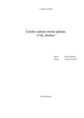Grožio salono verslo planas. UAB „Redina"