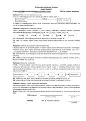 Elektroninių matavimų sistemos