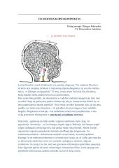 Filosofijos kurso konspektas