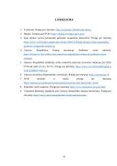 PVM susigrąžinimas ir jo praktinis taikymas 19 puslapis