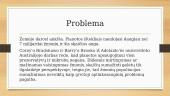 Žmonių populiacija - skaidrės 8 puslapis