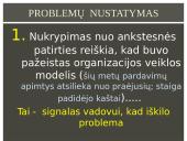 Sprendimų priėmimas (vadyba) 19 puslapis