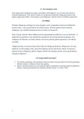 Asmeninių finansų biudžeto sudarymas 6 puslapis