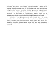 Valstybės skola ir jos priežastys bei pasekmės 11 puslapis