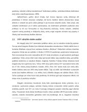 Valstybės skola ir jos priežastys bei pasekmės 15 puslapis