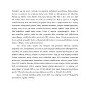 Valstybės skola ir jos priežastys bei pasekmės 16 puslapis