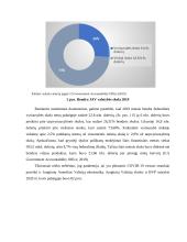 Valstybės skola ir jos priežastys bei pasekmės 17 puslapis