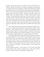 Valstybės skola ir jos priežastys bei pasekmės 19 puslapis